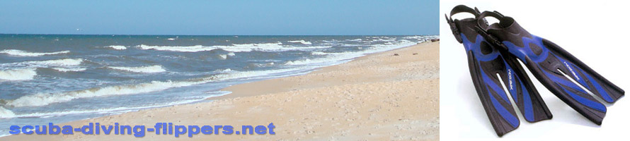 Scuba Diving Flippers, Swimming Flippers, and Fins